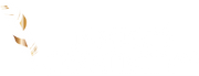 Infused Creativity Co